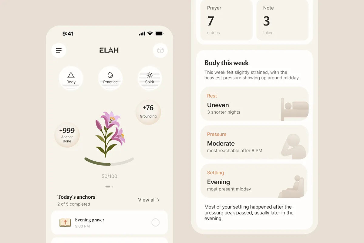 THE APP